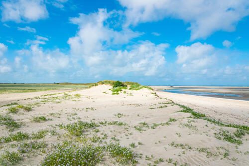 Dune et plage du Havre de la Vanlée